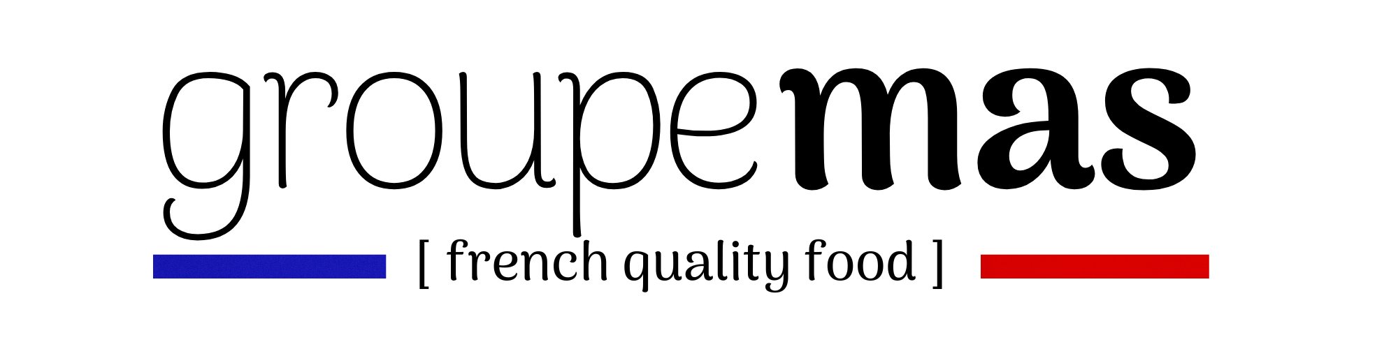 Logo Groupe MAS